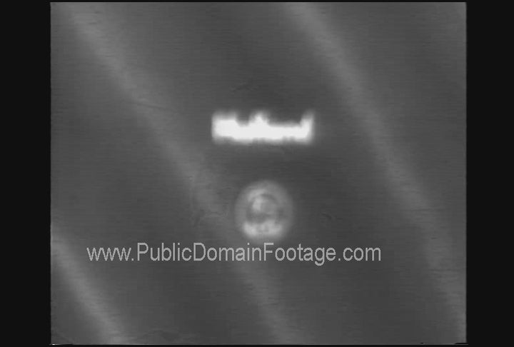 Sophie the Artistic Ape Newsreel