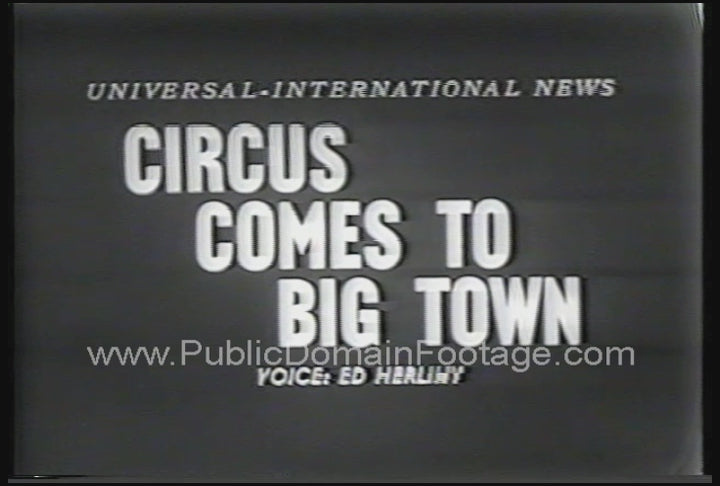 Circus Comes to Town - Elephants walking Down Street Newsreel