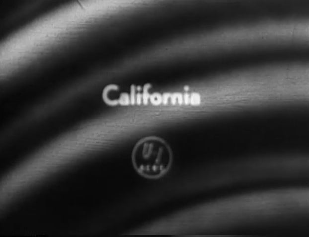 Bubbles the Whale Newsreel