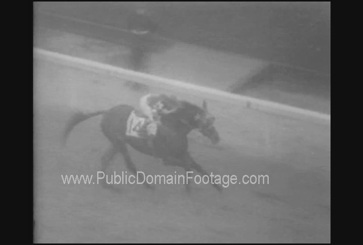 Race Horse Finish in Slow Motion