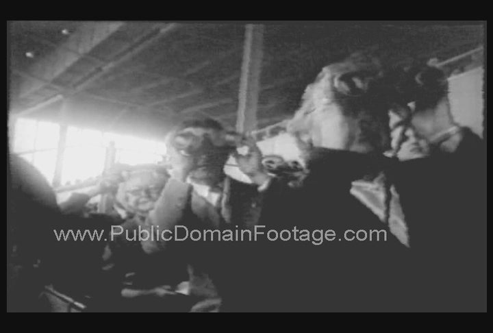 Excited Sports Spectator