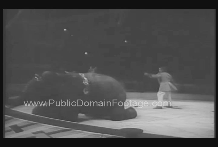 Llama Jumps Over Elephant