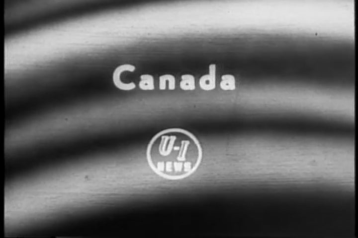 Shaggy Poodles in Canadian Dog Show Newsreel